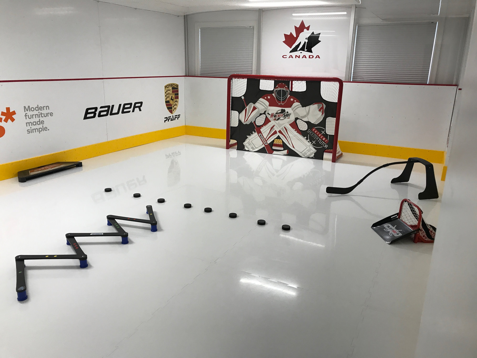 Basement Hockey Rink with Synthetic Ice