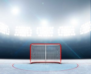 Professional Hockey Goal Frames